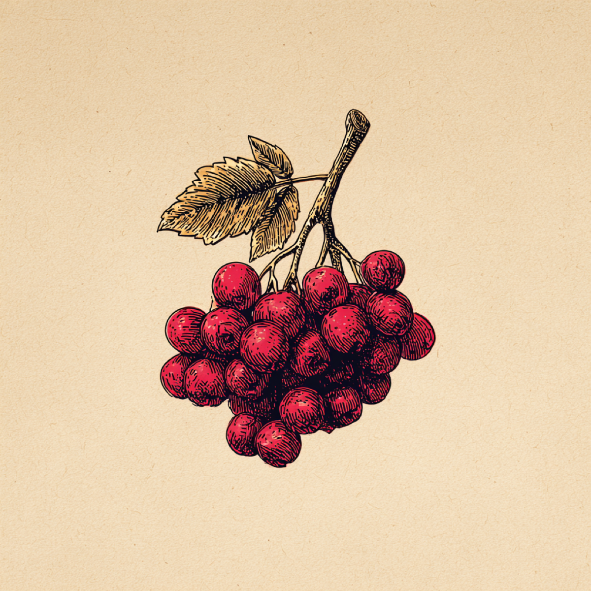 Berry Puns