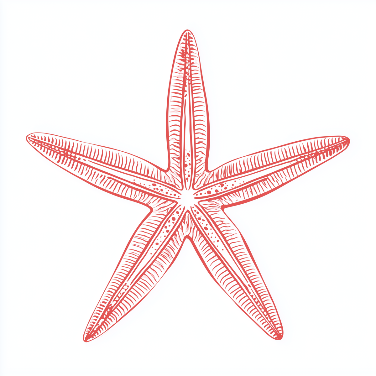 Starfish Puns - Cute smiling cartoon starfish