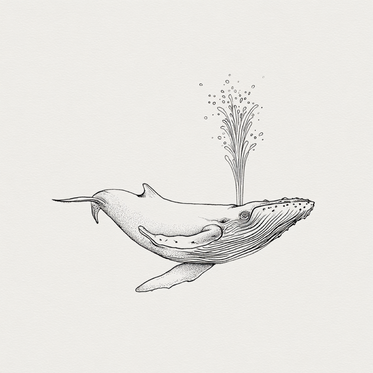 Whale Puns - A cute cartoon whale splashing water